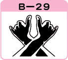 qbvzbv茳B-29