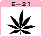 gtǂE-21