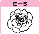 AoE-5