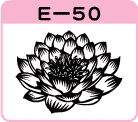 @̉ԖJE-50